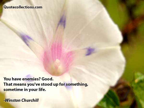 Winston Churchill Quotes4